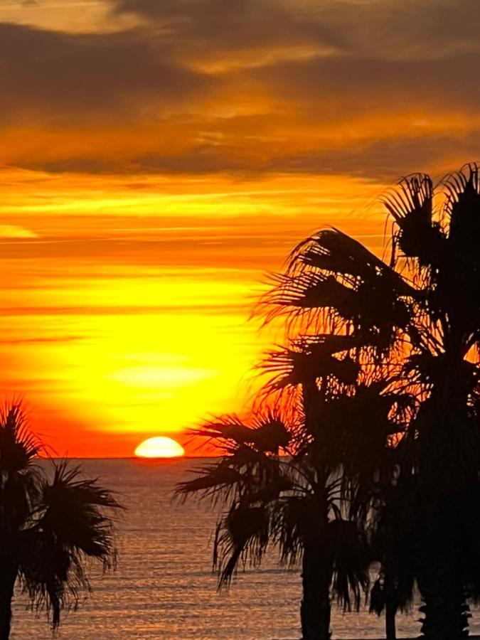 شقة Azur Le Barcarès المظهر الخارجي الصورة